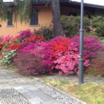 Splendida villa sul lago di Como