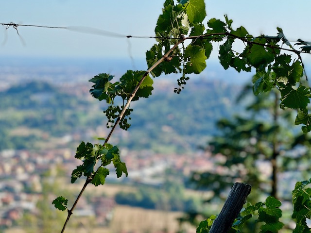 Ponteranica splendida Villa Padronale